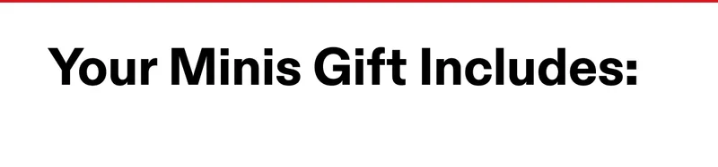 Your Minis Gift Includes: