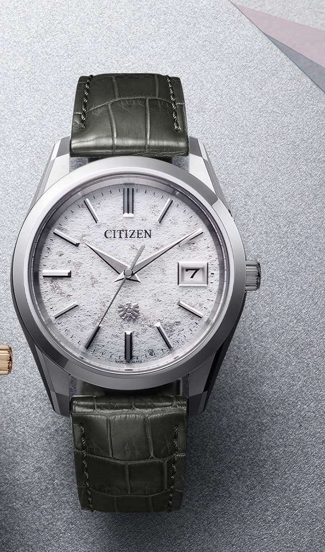 The CITIZEN - AQ4100-22A