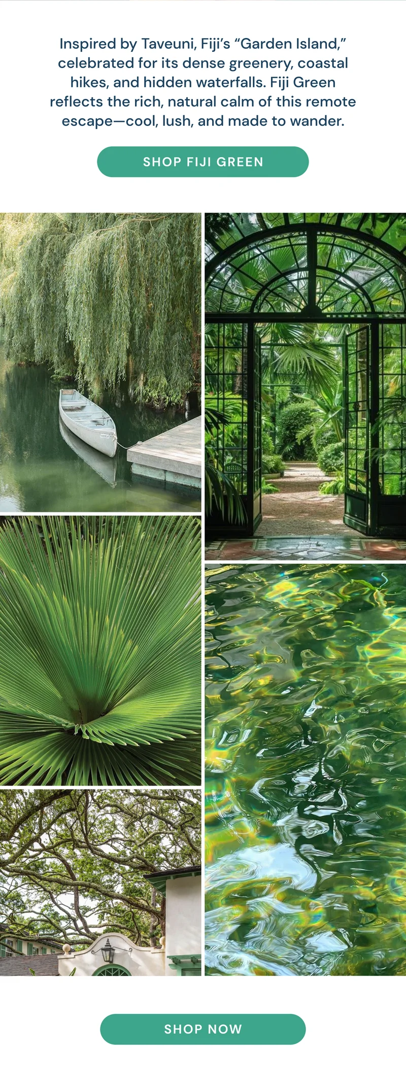 Shop Fiji Green