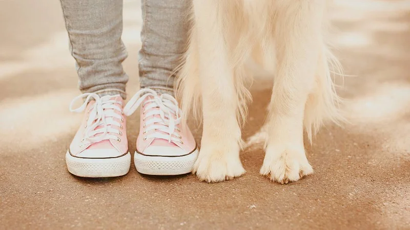 Cool Pet Products We Didn't Know Existed