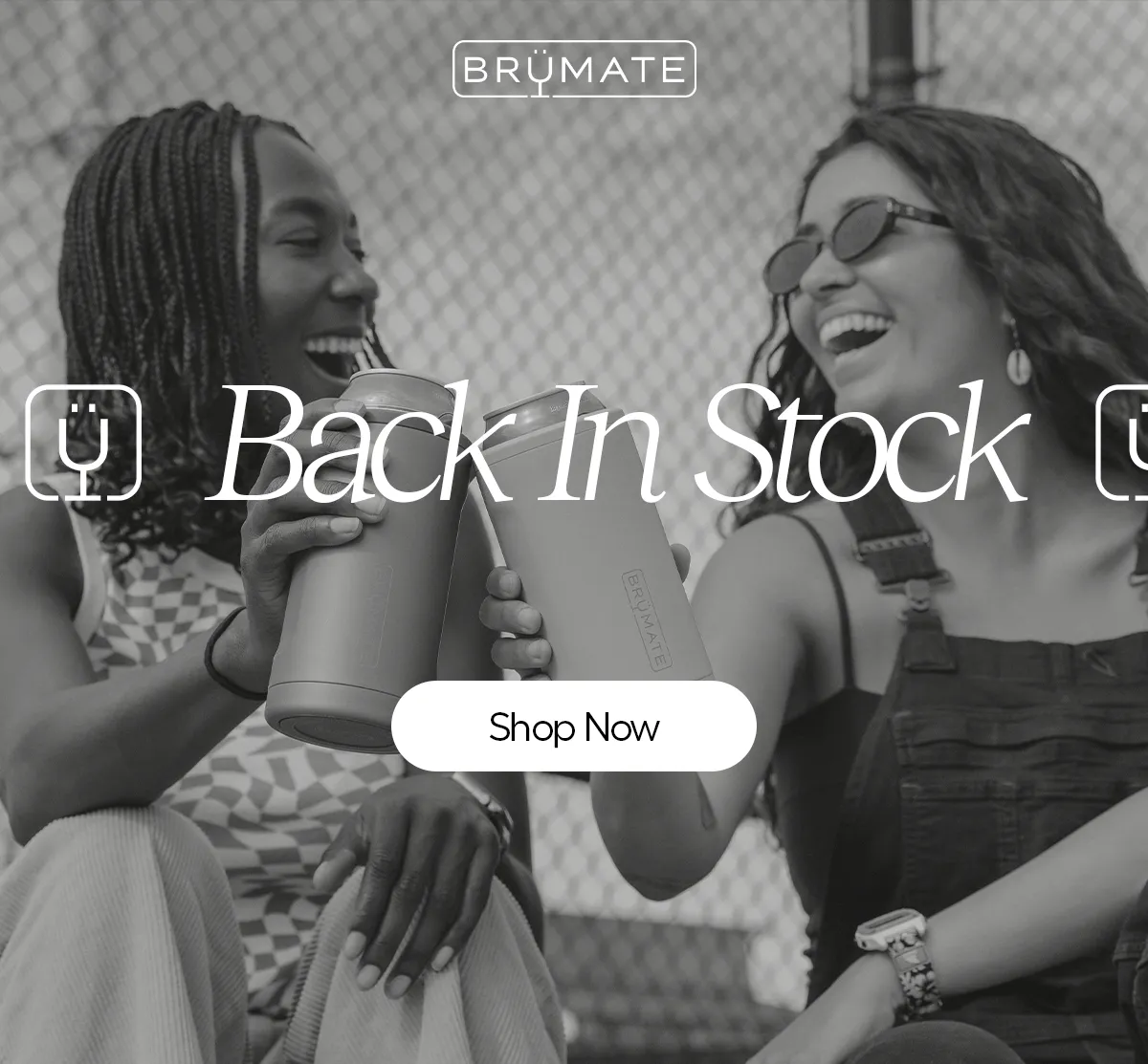 Back In Stock - Shop Now