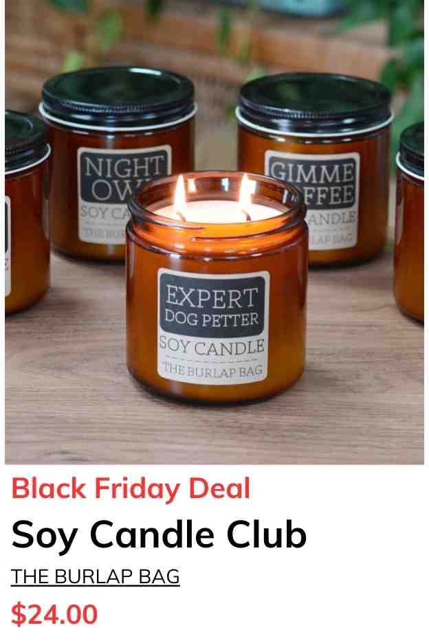 Smelly Club 16oz - Soy Candle Subscription