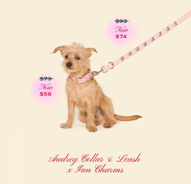 Audrey Leash & Leash - Ian Charms