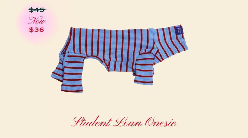 Student Loan Onesie