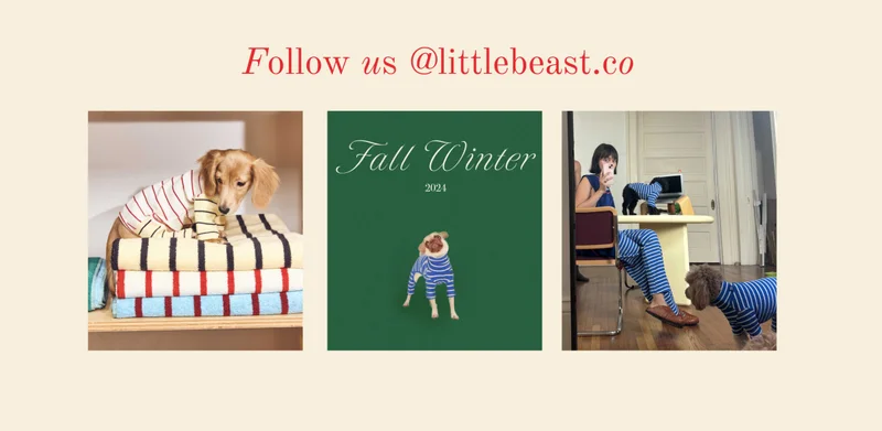 Follow us on Instagram