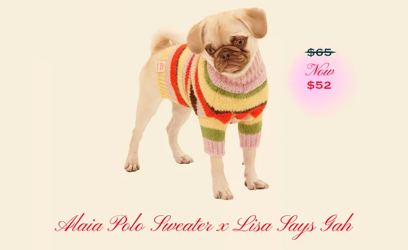 Alaia Polo Sweater x Lisa Says Gah