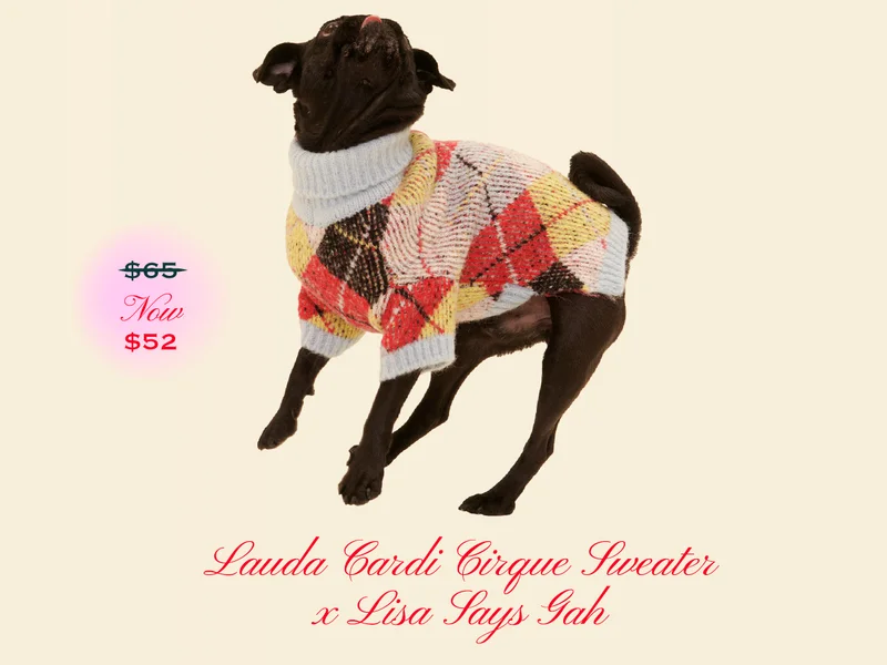 Lauda Cardi Cirque Sweater x Lisa Says Gah