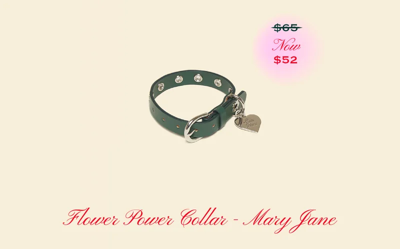 Flower Power Collar - Mary Jane