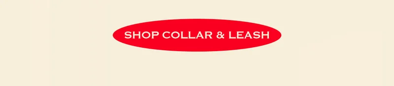 Shop Collar & Leash