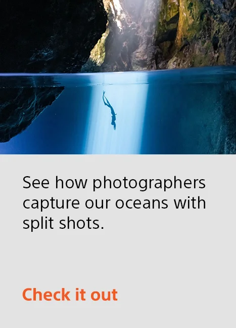 See how photographers capture our oceans with split shots. | Check it out
