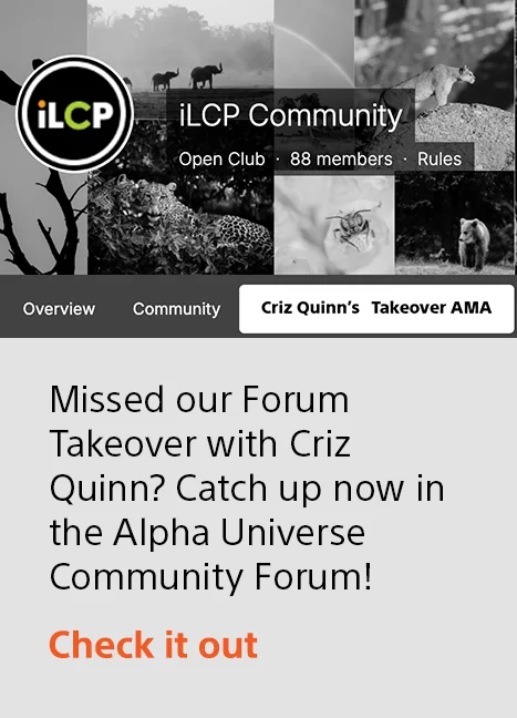 Missed our Forum Takeover with Criz Quinn? Catch up now in the Alpha Universe Community Forum! | Check it out