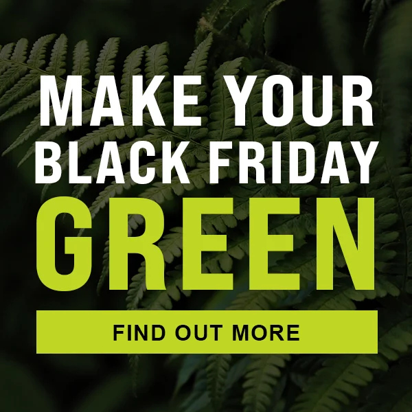 Make Your Black Friday Green