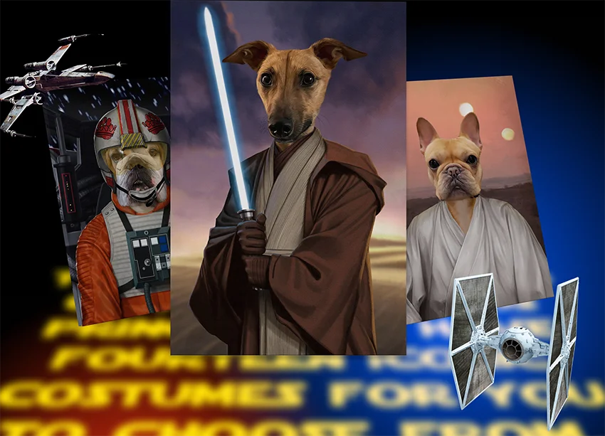 The Rebel Pilot, The Space General and The Farm Boy Star Wars portraits