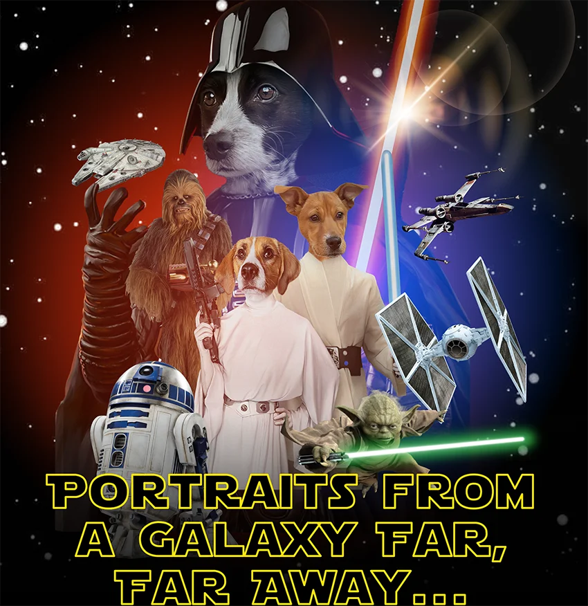 Portraits from a Galaxy Far, Far Away... Shop Star Wars Now!