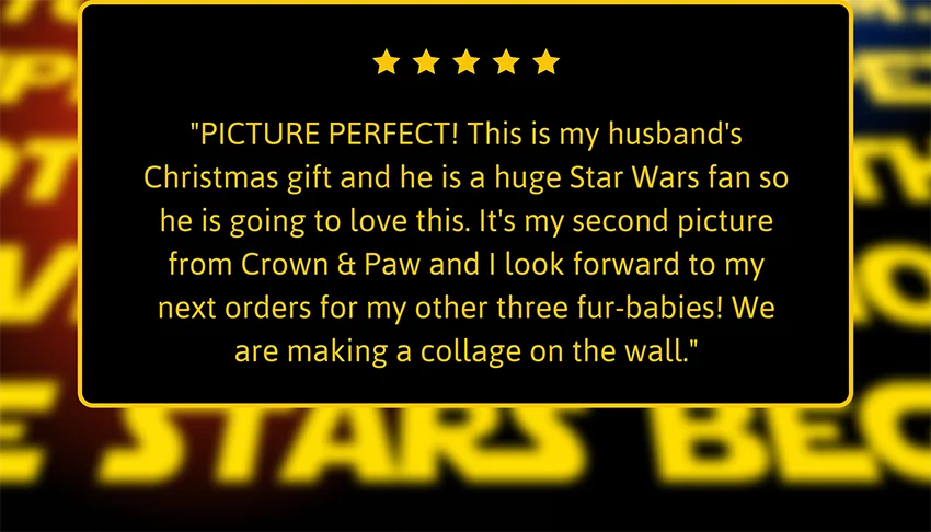 "PICTURE PERFECT! This is my husband's Christmas gift and he is a huge Star Wars fan so he is going to love this. It's my second picture from Crown & Paw and I look forward to my next orders for my other three fur-babies! We are making a collage on the wall."