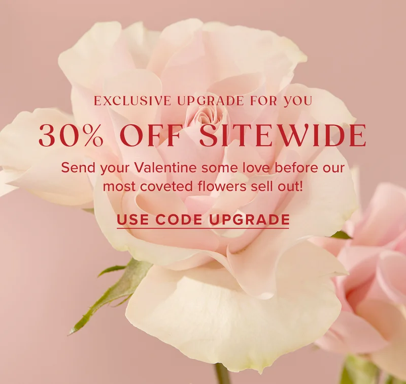 Exclusive Upgrade For You! 30% Off Sitewide. Send your Valentine some love before our most coveted flowers sell out! Use Code UPGRADE Exclusive Upgrade For You! 30% Off Sitewide. Send your Valentine some love before our most coveted flowers sell out! Use Code UPGRADE