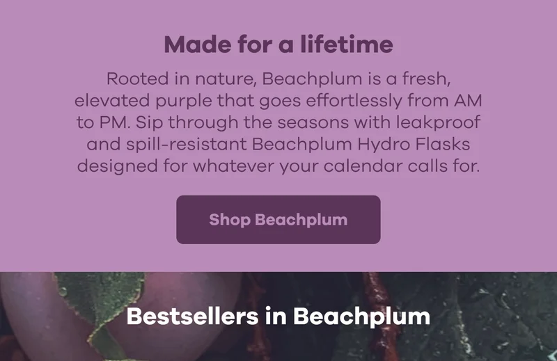 Made for a lifetime. Rooted in nature, Beachplum is a fresh, elevated purple that goes effortlessly from AM to PM. Sip through the seasons with leakproof and spill-resistant Beachplum Hydro Flasks designed for whatever your calendar calls for. | Shop Beachplum