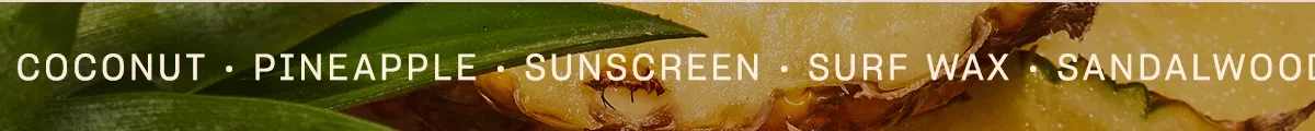coconut • pineapple • sunscreen • surf wax • sandalwood • tonka bean