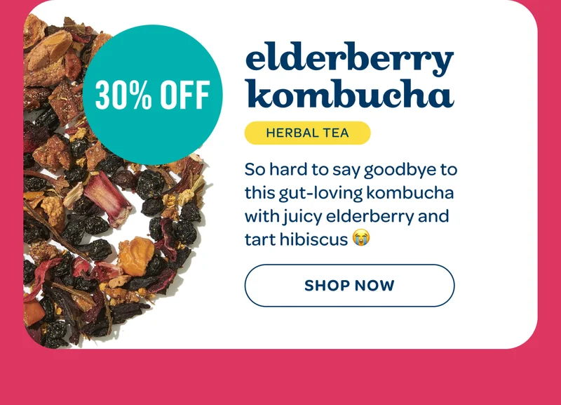 Elderberry kombucha, 30% off - Shop now
