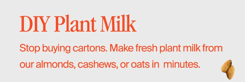 DIY Plant Milk Recipe