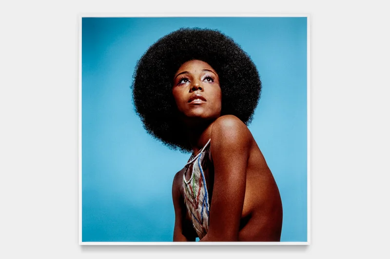 Kwame Brathwaite’s “Untitled (Model Who Embraced Natural Hairstyles at AJASS Photoshoot)”