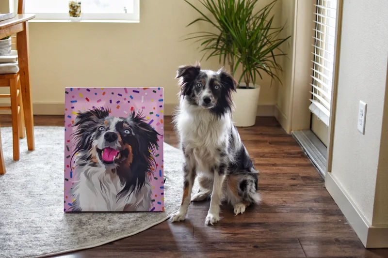 Pet Gifts