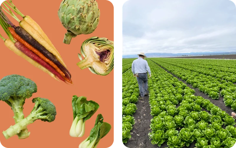 Meet Lakeside Organic Gardens