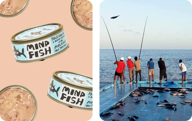 Meet Mind Fish Co.