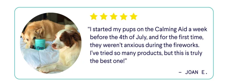 UGC of dog with review: "I started my pups on the Calming Aid a week before the 4th of July, and for the first time, they weren't anxious during the fireworks. I've tried so many products, but this is truly the best one!" –&nbsp;Joan E.