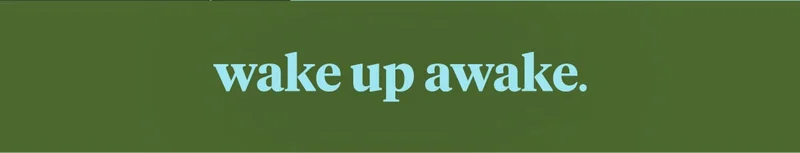 wake up awake.