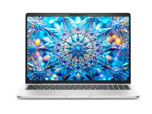 A Dell laptop computer.