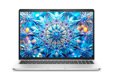 A Dell laptop computer.