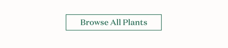 Browse All Plants