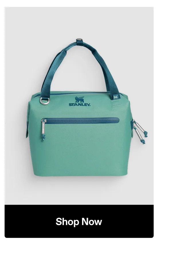 The All Day Julienne Mini Cooler
