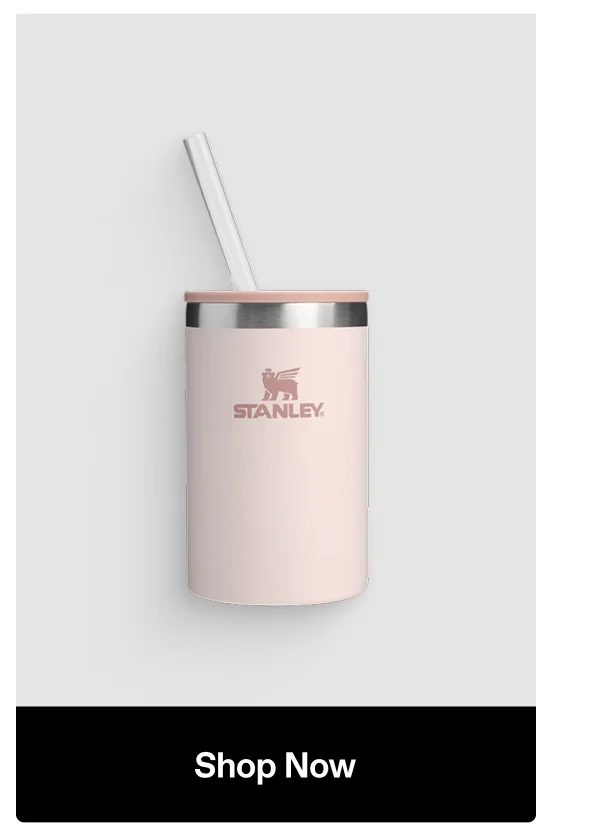The Everyday Can Cooler Cup