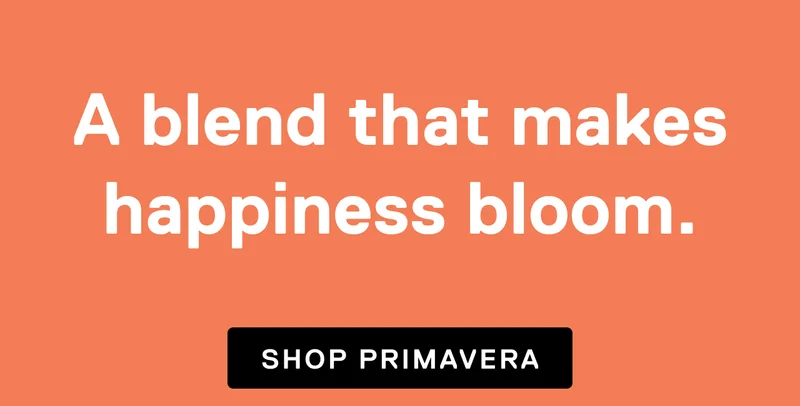 A blend that makes happiness bloom. Shop Primavera.