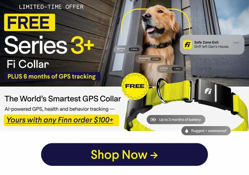 LIMITED-TIME OFFER: FREE Fi Series 3+ Collar PLUS 6 months of GPS tracking– Yours with any Finn order $100+. No code needed. $99 VALUE