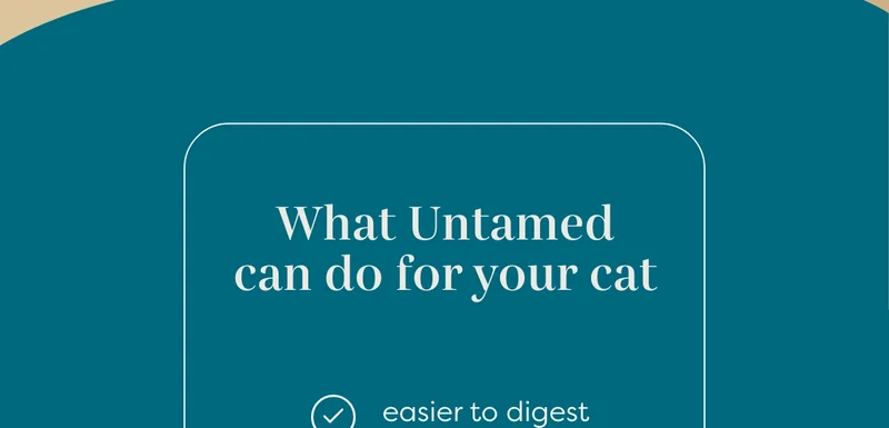 What Untamed can do for your cat