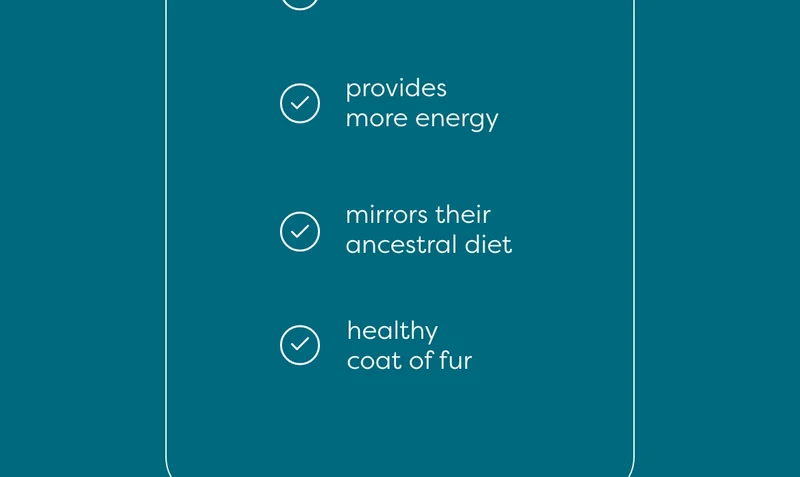 What Untamed can do for your cat