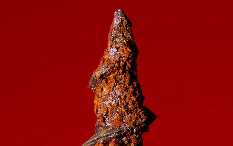 a close up of a rusty nail a close up of a rusty nail