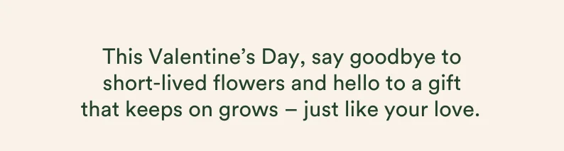 Find the perfect gift at the Valentine's Day Gift Shop