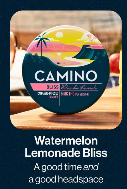 Watermelon Lemonade Bliss