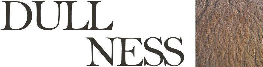 DULLNESS