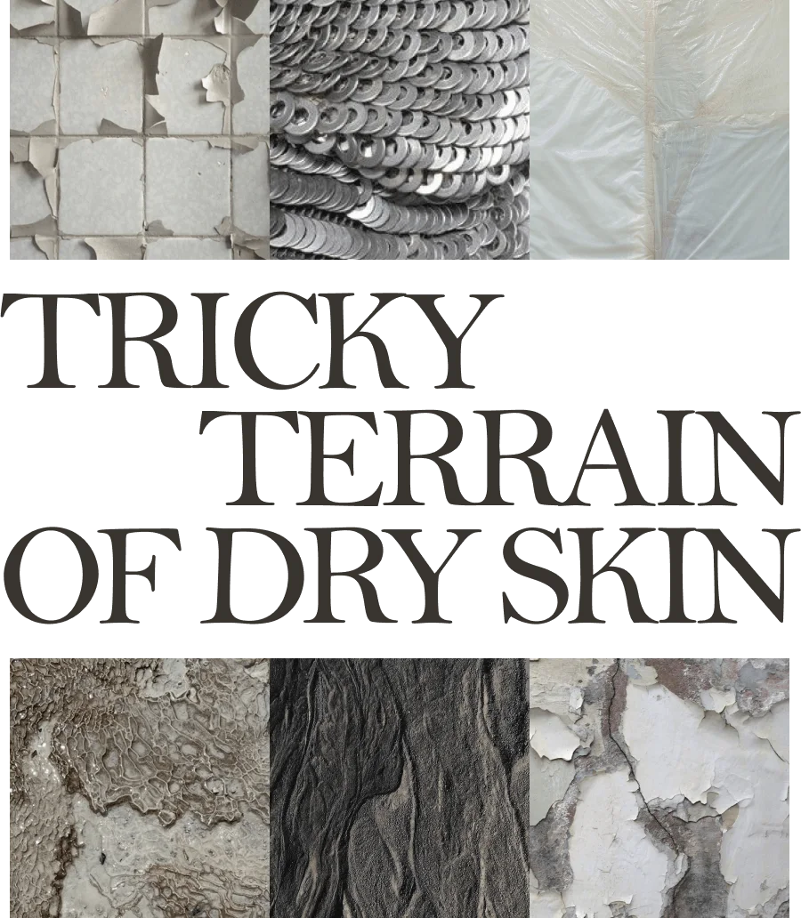 TRICKY TERRAIN OF DRY SKIN