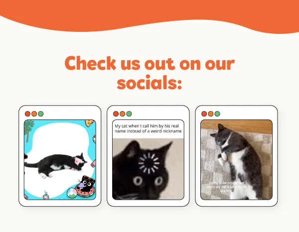 Check us out on our socials!