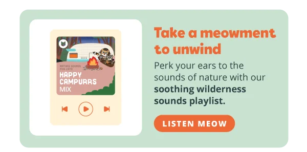 **Take a meowment to unwind**  Perk your ears to the sounds of nature with our soothing wilderness sounds playlist. Listen meow!