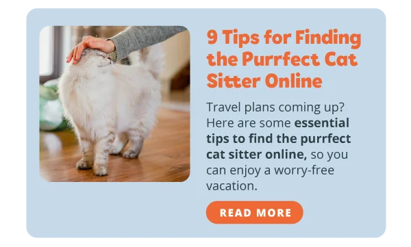 9 Tips for Finding the Purrfect Cat Sitter Online  Travel plans coming up? Here are some essential tips to find the purrfect cat sitter online, so you can enjoy a worry-free vacation. Read more!
