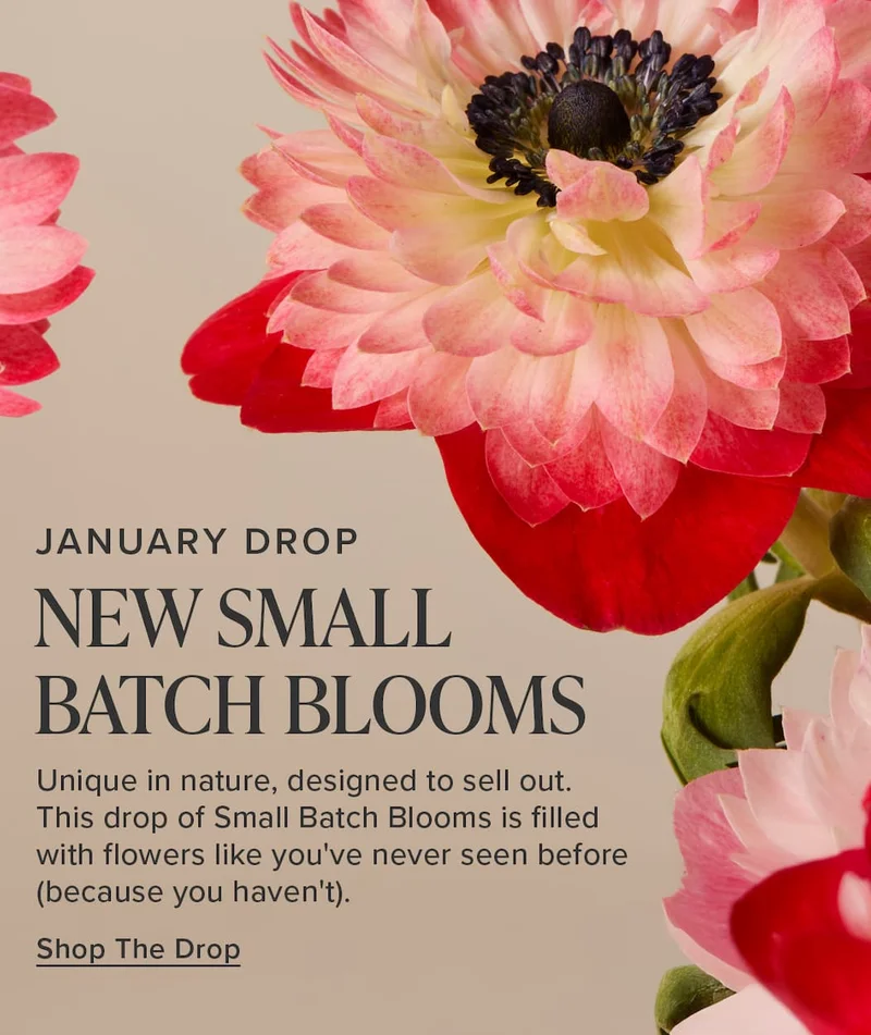 NEW Small Batch Blooms: January Drop. Unique in nature, designed to sell out. This drop of Small Batch Blooms is filled with flowers like you've never seen before (because you haven't). Shop The Drop.