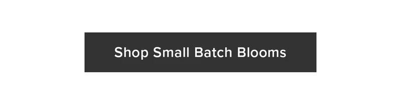 Shop Small Batch Blooms