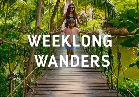WEEKLONG WANDERS